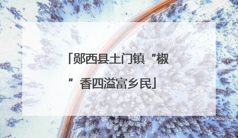 郧西县土门镇“椒”香四溢富乡民
