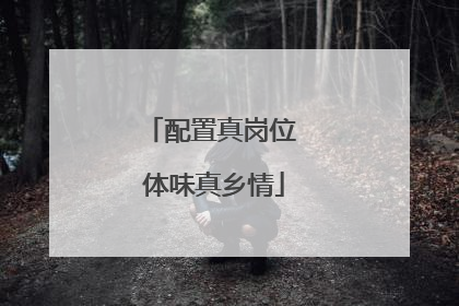 配置真岗位 体味真乡情