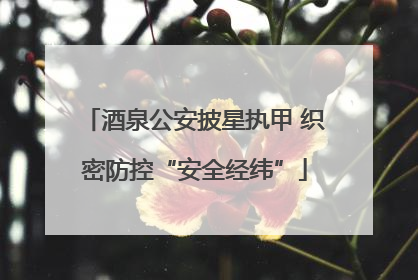 酒泉公安披星执甲 织密防控“安全经纬”