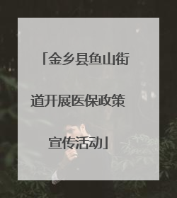 金乡县鱼山街道开展医保政策宣传活动