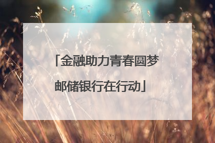 金融助力青春圆梦邮储银行在行动