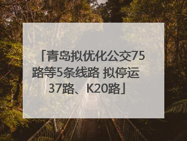 青岛拟优化公交75路等5条线路 拟停运37路、K20路
