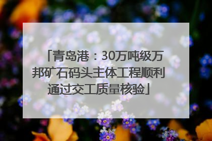 青岛港：30万吨级万邦矿石码头主体工程顺利通过交工质量核验