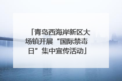 青岛西海岸新区大场镇开展“国际禁毒日”集中宣传活动