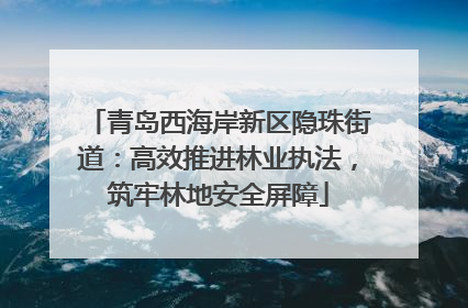 青岛西海岸新区隐珠街道：高效推进林业执法，筑牢林地安全屏障