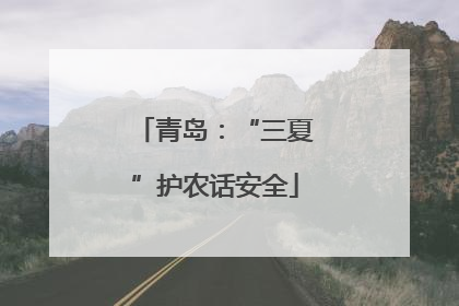 青岛：“三夏”护农话安全