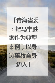 青海省委：把马丰胜案作为典型案例，以身边事教育身边人