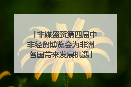 非媒盛赞第四届中非经贸博览会为非洲各国带来发展机遇