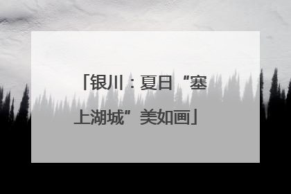 银川：夏日“塞上湖城”美如画
