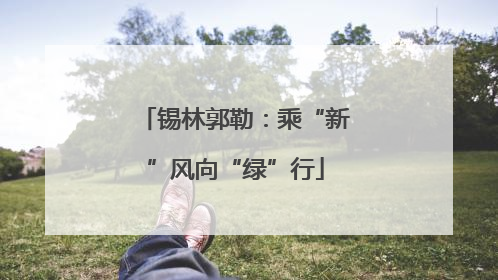 锡林郭勒：乘“新”风向“绿”行