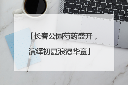 长春公园芍药盛开，演绎初夏浪漫华章