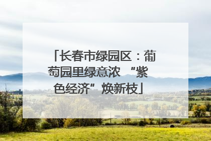 长春市绿园区：葡萄园里绿意浓 “紫色经济”焕新枝