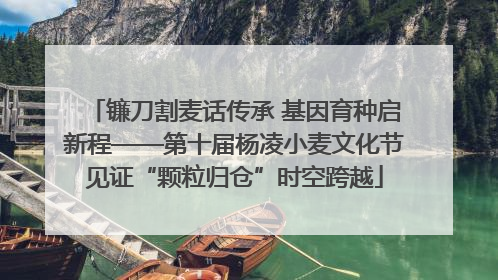 镰刀割麦话传承 基因育种启新程——第十届杨凌小麦文化节见证“颗粒归仓”时空跨越