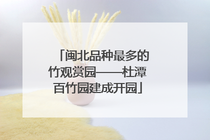 闽北品种最多的竹观赏园——杜潭百竹园建成开园