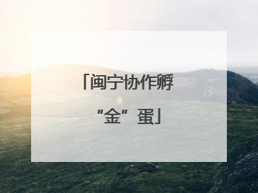 闽宁协作孵“金”蛋