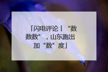 闪电评论丨“数数数”，山东跑出加“数”度