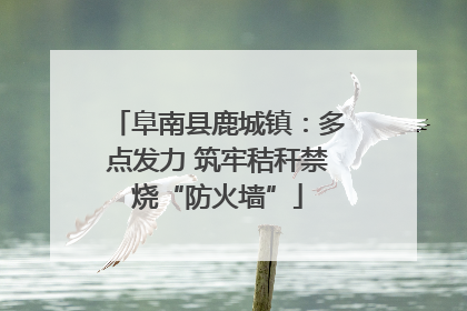 阜南县鹿城镇：多点发力 筑牢秸秆禁烧“防火墙”