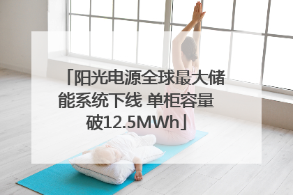 阳光电源全球最大储能系统下线 单柜容量破12.5MWh