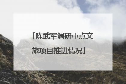 陈武军调研重点文旅项目推进情况
