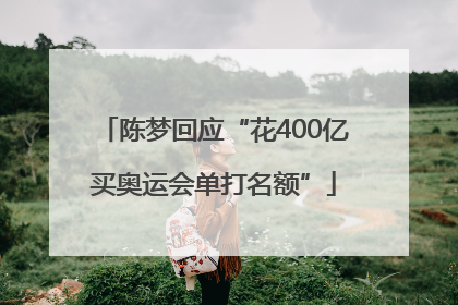 陈梦回应“花400亿买奥运会单打名额”
