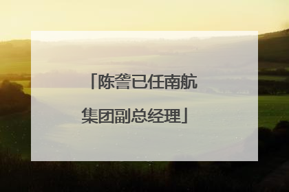 陈詟已任南航集团副总经理