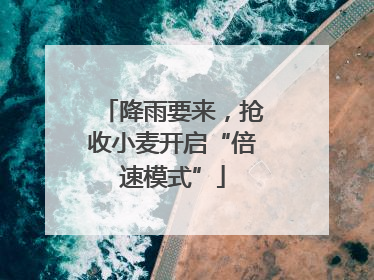 降雨要来，抢收小麦开启“倍速模式”