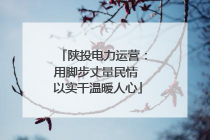 陕投电力运营：用脚步丈量民情 以实干温暖人心