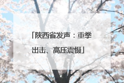 陕西省发声：重拳出击、高压震慑