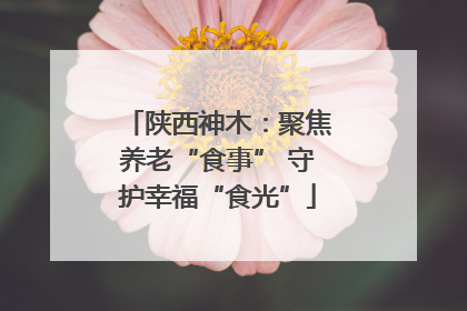 陕西神木：聚焦养老“食事” 守护幸福“食光”