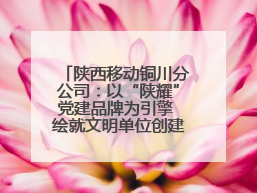 陕西移动铜川分公司：以“陕耀”党建品牌为引擎 绘就文明单位创建新画卷——全国文明单位创建纪实