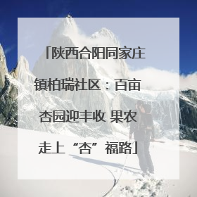 陕西合阳同家庄镇柏瑞社区：百亩杏园迎丰收 果农走上“杏”福路
