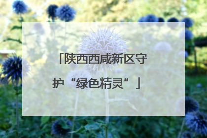 陕西西咸新区守护“绿色精灵”