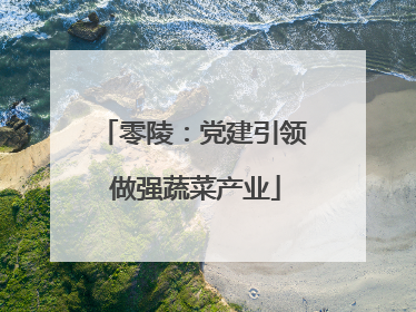 零陵：党建引领 做强蔬菜产业