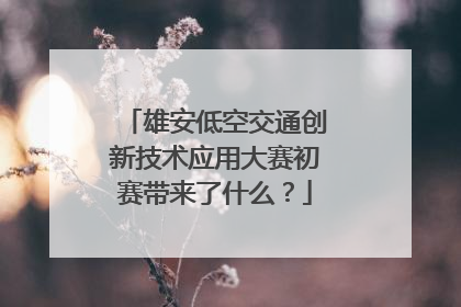 雄安低空交通创新技术应用大赛初赛带来了什么？