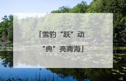 雪豹“跃”动 “典”亮青海
