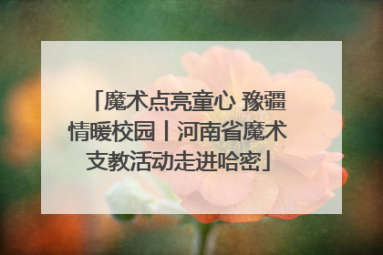 魔术点亮童心 豫疆情暖校园丨河南省魔术支教活动走进哈密