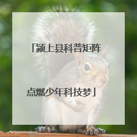 颍上县科普矩阵点燃少年科技梦