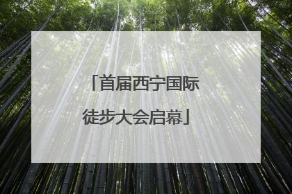 首届西宁国际徒步大会启幕