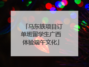 马东铁项目订单班留学生广西体验端午文化