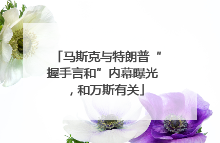 马斯克与特朗普“握手言和”内幕曝光，和万斯有关