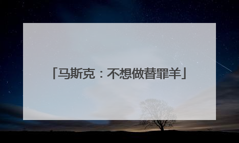 马斯克：不想做替罪羊