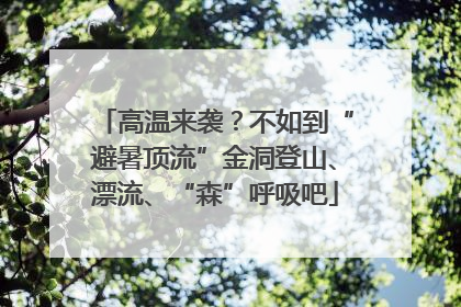 高温来袭？不如到“避暑顶流”金洞登山、漂流、“森”呼吸吧