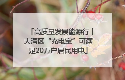 高质量发展能源行丨大湾区“充电宝”可满足20万户居民用电