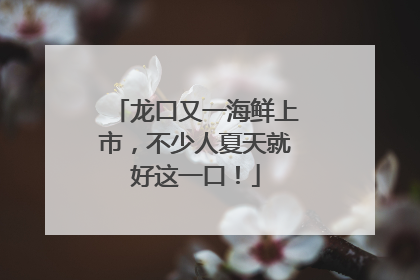 龙口又一海鲜上市，不少人夏天就好这一口！