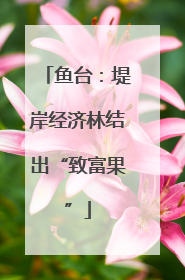 鱼台：堤岸经济林结出“致富果”