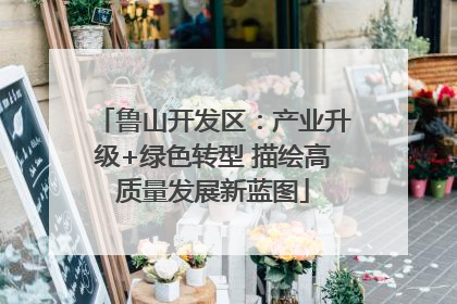 鲁山开发区：产业升级+绿色转型 描绘高质量发展新蓝图