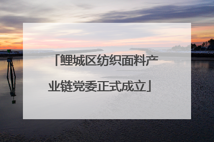 鲤城区纺织面料产业链党委正式成立