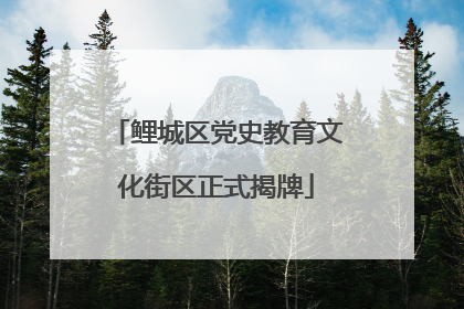 鲤城区党史教育文化街区正式揭牌