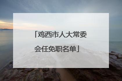 鸡西市人大常委会任免职名单