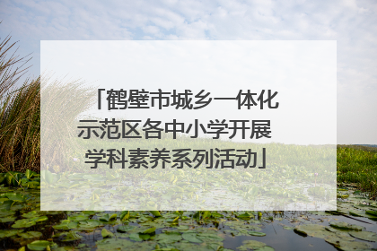 鹤壁市城乡一体化示范区各中小学开展学科素养系列活动